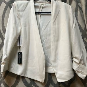 NWOT Aritzia Babaton Power Blazer - ESPACE
